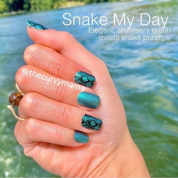 Color Street | Other | Retired Color Street Nail Strips Snake My Day ...